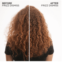 Redken Frizz Dismiss Shampoo 1L