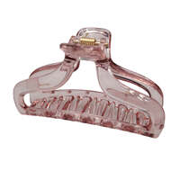 PP Translucent Clawed Hair Clip
