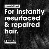 L'Oreal SERIE EXPERT Absolut Repair Golden Mask 250ml