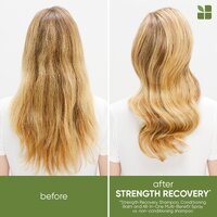 Biolage Strength Recovery Repairing Spray 232mL