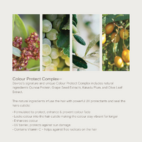 Davroe Smooth Senses Anti-Frizz Shampoo - 100mL