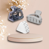 Crush Second Day Claw Clips 6 PCS - Grey