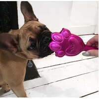 Pet Angel Mini - Fuchsia
