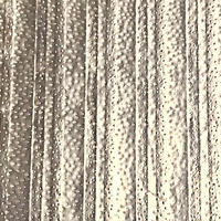 Foxy Blondes Pre Cut Extra Wide Foil - Oh Honey