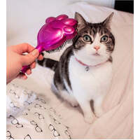 Pet Angel Mini - Fuchsia
