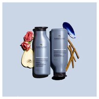 Pureology Strength Cure Blonde Purple Shampoo 266mL