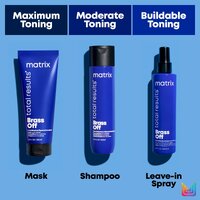 Total Results Brass Off Toning Spray 200mL