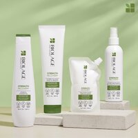 Biolage Strength Recovery Repairing Spray 232mL