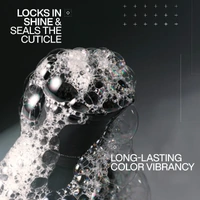 Redken Acidic Color Gloss Duo