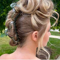 PP Translucent Clawed Hair Clip