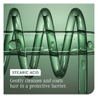 Biolage Colorlast Conditioner 400mL