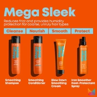 Total Results Mega Sleek Iron Smooth 250mL