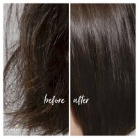 Pureology Hydrate Sheer Shampoo 266mL