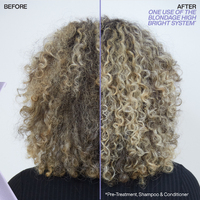 Redken Color Extend Blondage High Bright Treatment - 250mL
