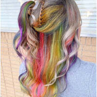 PP Translucent Clawed Hair Clip