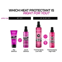 Redken Thermal Spray Low Hold 250mL