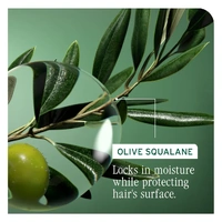 Biolage HydraSource Shampoo 400mL