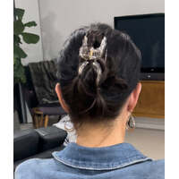 PP Translucent Clawed Hair Clip