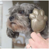Pet Angel Mini - Bronze