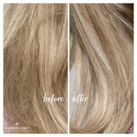 Pureology Strength Cure Blonde Purple Conditioner 266mL