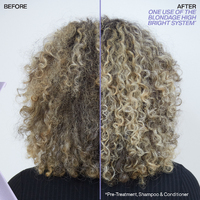 Redken Color Extend Blondage High Bright Shampoo 1L