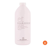 DeLorenzo Equilibrium 1L