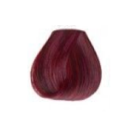 Burgundy Red - 342