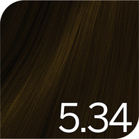 Revlon Color Excel - 5.34 Light Golden Copper Brown