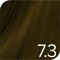 Revlon Color Excel - 7.3 Medium Golden Blonde