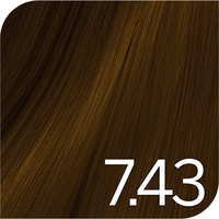 Revlon Color Excel - 7.43 Medium Copper Golden Blonde