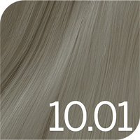 Revlon Color Excel - 10.01 Lightest Natural Ash Blonde