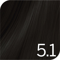 Revlon Color Excel Gloss - 5.1 Cool Steel