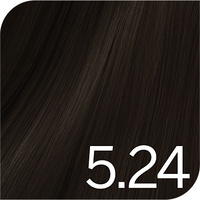 Revlon Color Excel Gloss - 5.24 Chocolate Glacé