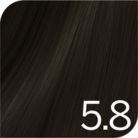 Revlon Color Excel Gloss - 5.8 Dusk Nude