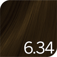 Revlon Color Excel Gloss - 6.34 Sunset Glow