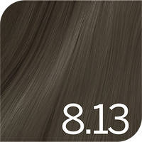 Revlon Color Excel Gloss - 8.13 Beige