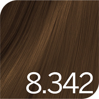 Revlon Color Excel Gloss - 8.342 Bronzite