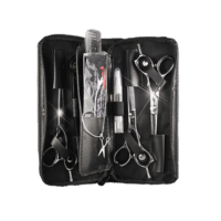 Apprentice / Student 3 Scissor Kit – Polished Silver